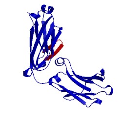 Image of CATH 5dvn