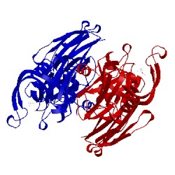 Image of CATH 5dvp