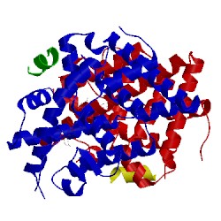 Image of CATH 5dvs