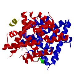 Image of CATH 5dvv