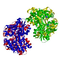 Image of CATH 5dw0