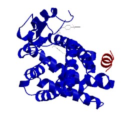 Image of CATH 5dwl