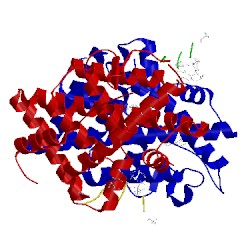 Image of CATH 5dx3