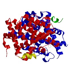 Image of CATH 5dxq