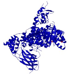 Image of CATH 5dxu