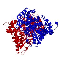Image of CATH 5dyp