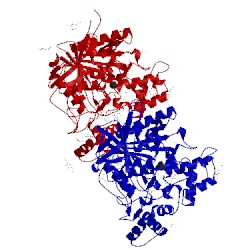 Image of CATH 5dyy