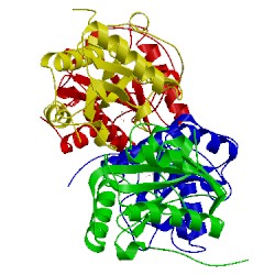 Image of CATH 5e0b