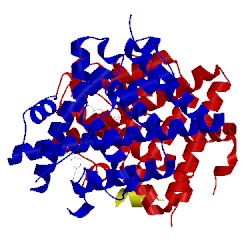 Image of CATH 5e15