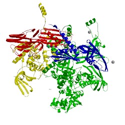 Image of CATH 5e18