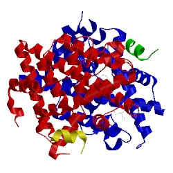 Image of CATH 5e1c