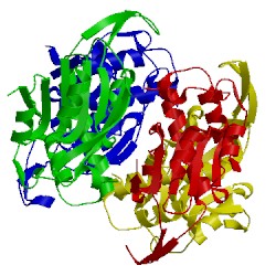 Image of CATH 5e38