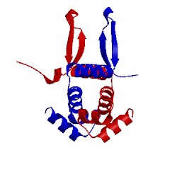 Image of CATH 5e3l