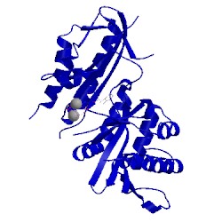 Image of CATH 5e3t