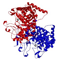 Image of CATH 5e40