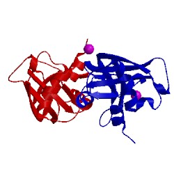 Image of CATH 5e5e