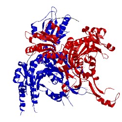 Image of CATH 5e6m