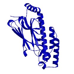 Image of CATH 5e85