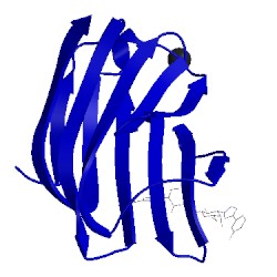 Image of CATH 5e89