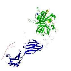 Image of CATH 5e8e