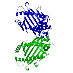 Image of CATH 5e8p