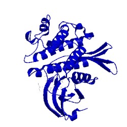 Image of CATH 5e8x