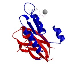 Image of CATH 5e95