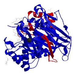 Image of CATH 5e9c