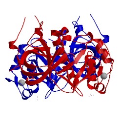 Image of CATH 5e9e