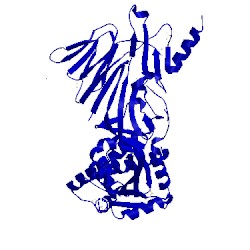 Image of CATH 5ea8