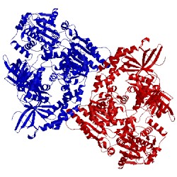 Image of CATH 5eaw