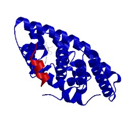 Image of CATH 5ec9