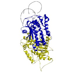 Image of CATH 5ed1