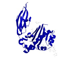 Image of CATH 5efi