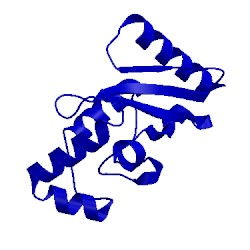 Image of CATH 5egg