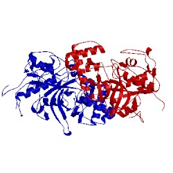 Image of CATH 5egw