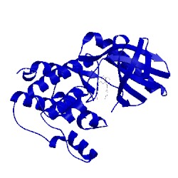Image of CATH 5ei2