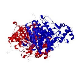 Image of CATH 5eia