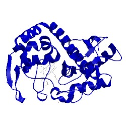 Image of CATH 5ejx