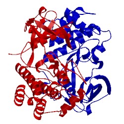 Image of CATH 5ek7