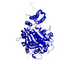 Image of CATH 5ely