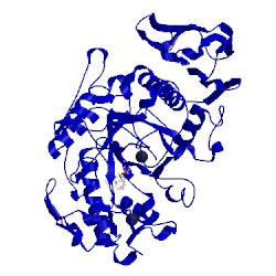 Image of CATH 5emy