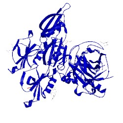Image of CATH 5eok