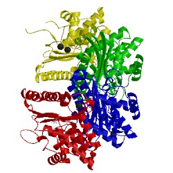 Image of CATH 5eoo