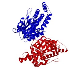 Image of CATH 5eqy