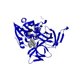 Image of CATH 5erv