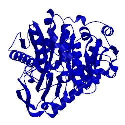 Image of CATH 5erx