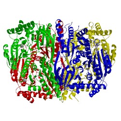 Image of CATH 5esd