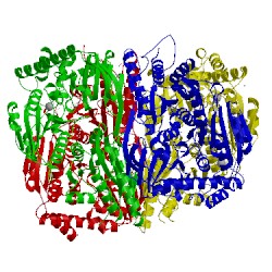 Image of CATH 5ess