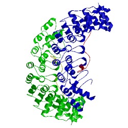 Image of CATH 5et0